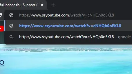 ssyoutube.com