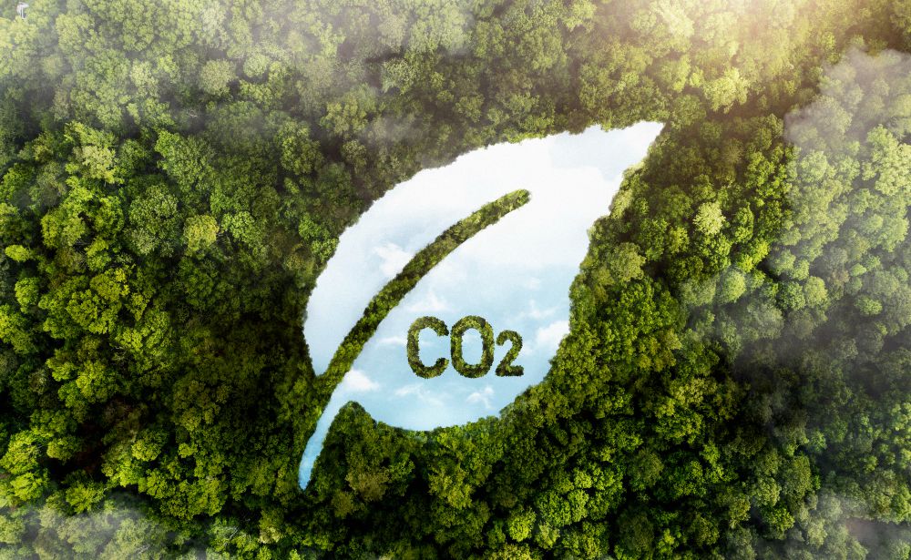 Emisi Karbon dan Bagaimana Mempengaruhi Perubahan Iklim