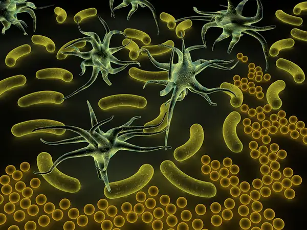 Mengenal Mikroba: 5 Protozoa dan Alga Kecil